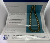 South-Sea Pearl Necklace "Gold"